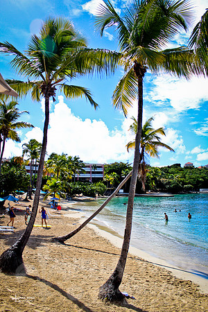 NVP_ST_Thomas-IMG_1103