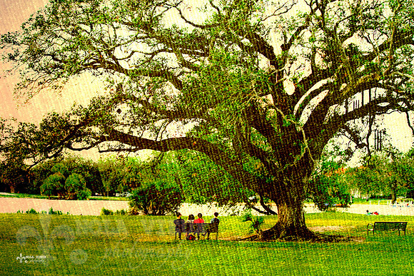 NVP-CityPark_121003