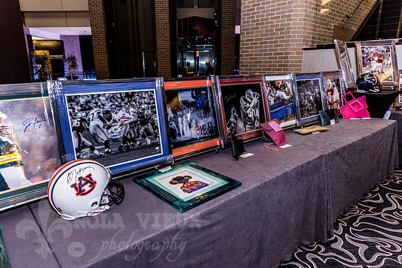 NVP_20160312_0199