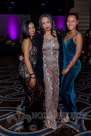 NVP_190317_1640_1150_C1
