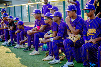 NVPCAE_SeniorBB_260325_020