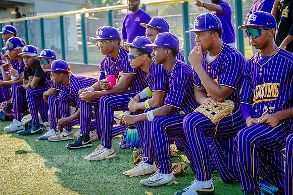 NVPCAE_SeniorBB_260325_020