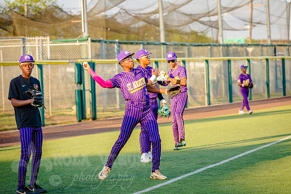 NVPCAE_SeniorBB_260325_121