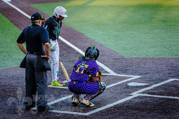 NVPCAE_SeniorBB_260325_283