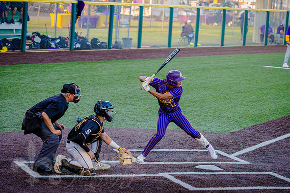 NVPCAE_SeniorBB_260325_316