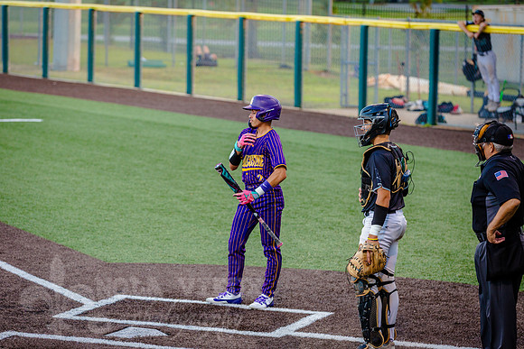 NVPCAE_SeniorBB_260325_395