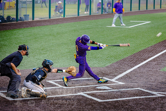 NVPCAE_SeniorBB_260325_405