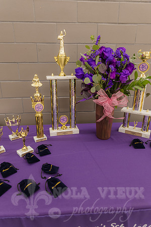 NVP-CAE_MDSD_Cotilllion_260509_210