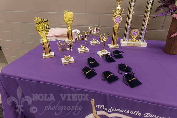 NVP-CAE_MDSD_Cotilllion_260509_209
