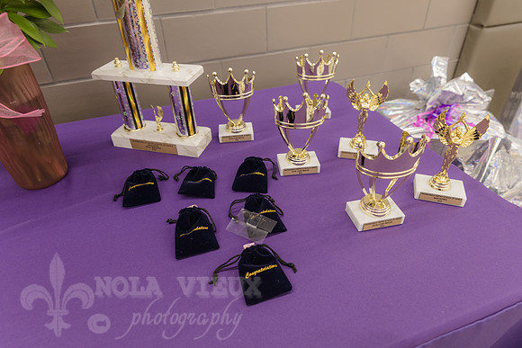 NVP-CAE_MDSD_Cotilllion_260509_211
