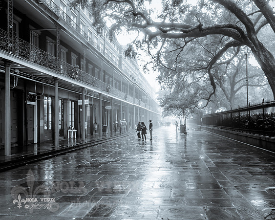 Upper Pontalba, Foggy 16x20 NVP_20151222_A6579-139_