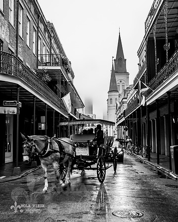 Chartres Horse and Buggy 16x 20 NVP_20151222_A6851-056_8x10