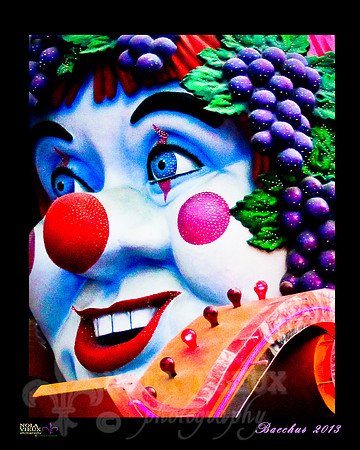 Bacchus 2013