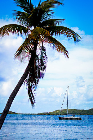 NVP_ST_Thomas-IMG_1127