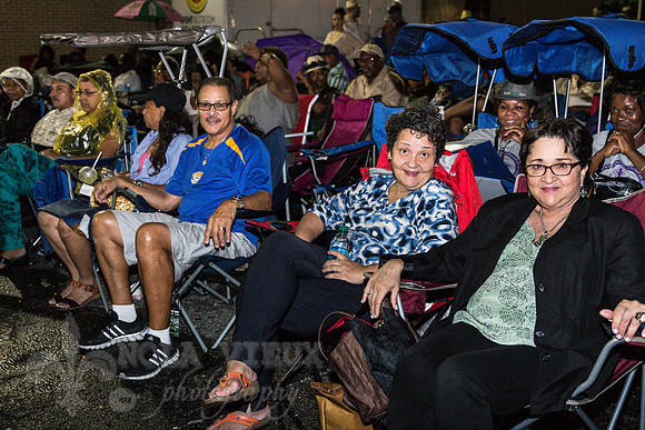 HampFest_NVP_140927_0156_111