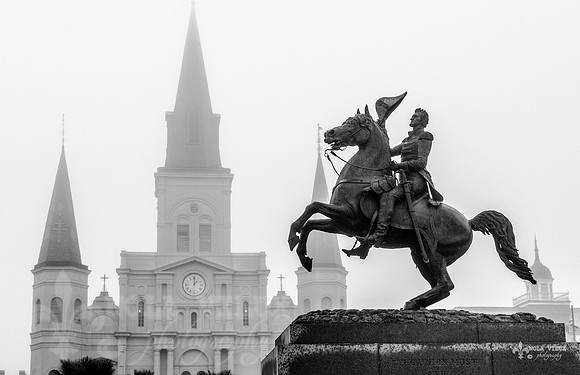 Jackson on a Foggy Day