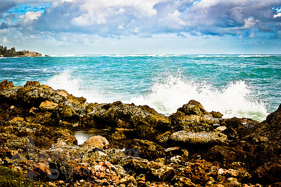 NVP-SanJuan-5100_131119