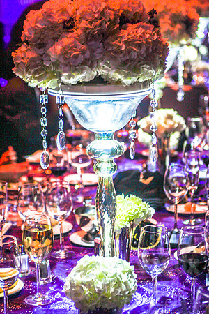 NVP_UNCF_Mayor's_Ball_140329_3911--137