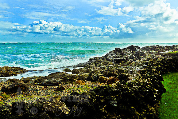 NVP-SanJuan-5076_131119