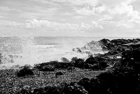 NVP-SanJuan-5095_131119