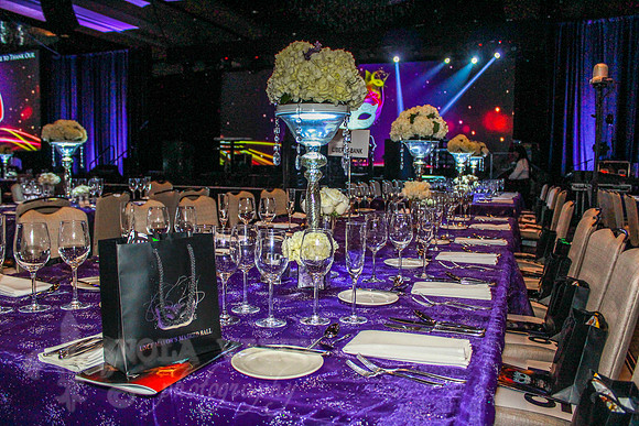 NVP_UNCF_Mayor's_Ball_140329_3734--014