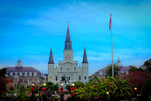 NVP-JacksonSquareChristmas-5687_131227