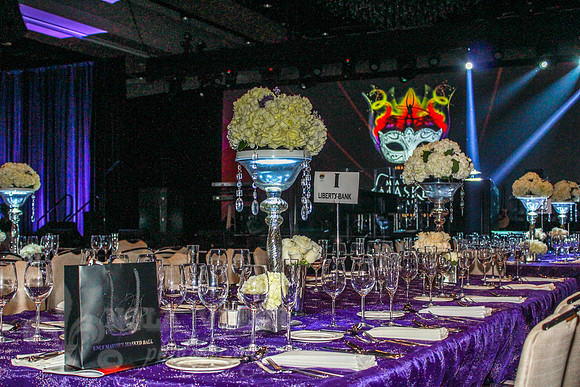 NVP_UNCF_Mayor's_Ball_140329_3733--013
