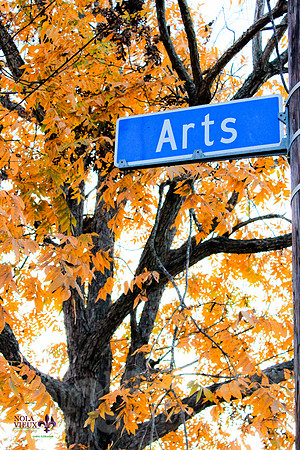 Arts of Nature
